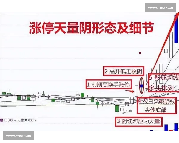电子竞技比分解析揭示赛场走势与胜负关键变化数据背后逻辑