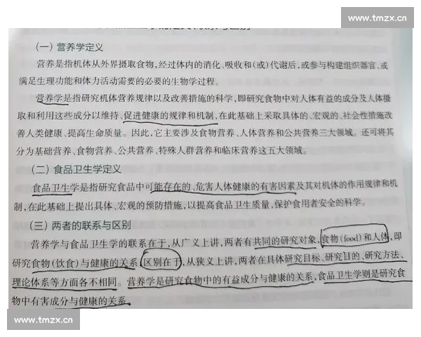 基于足球阵容稳定性的球队竞争力演变与战术表现分析研究规律探讨