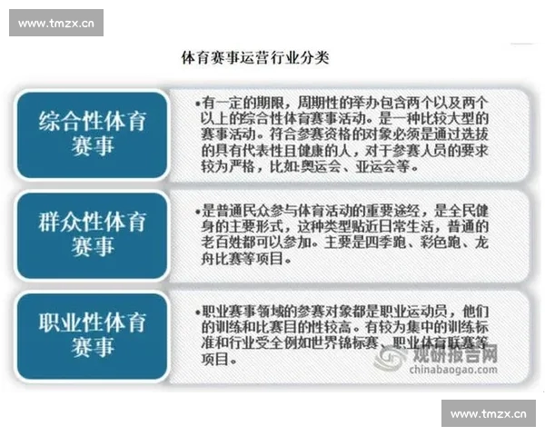 如何通过体育赛事分析提升观赛体验与战术理解