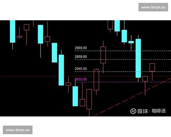 基于比赛走势分析的策略与预测方法探讨 基于比赛走势分析的策略与预测方法探讨