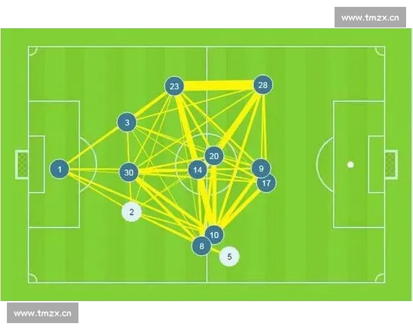 基于大数据的体育竞技表现分析与趋势预测研究