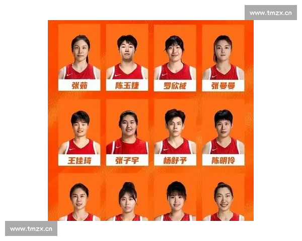 CBA赛事全程高清直播与实时数据分析体验新平台