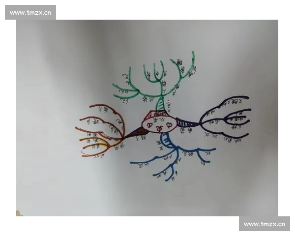 基于比赛走势分析的有效判断方法与策略探讨